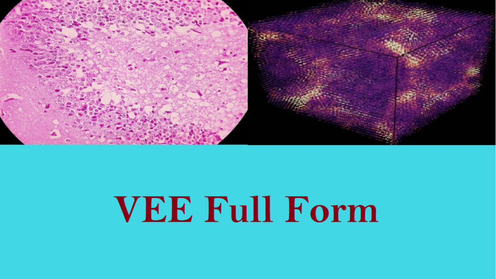 What is the VEE Full Form - Full Form - Short Form