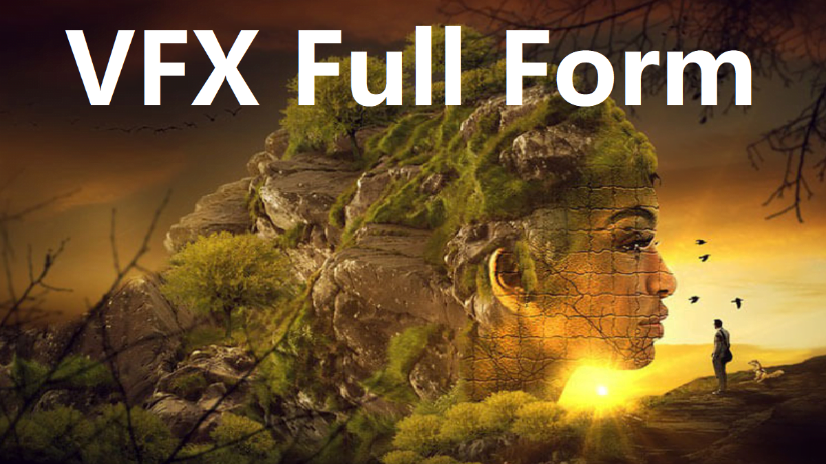 What Is The VFX Full Form Full Form Short Form